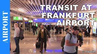 TRANSIT WALK AT FRANKFURT Airport FRA Terminal 1  Connection Flight Transfer Arriving amp Departing [upl. by Newol]